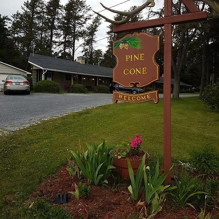Pinecone Motel サセックス エクステリア 写真