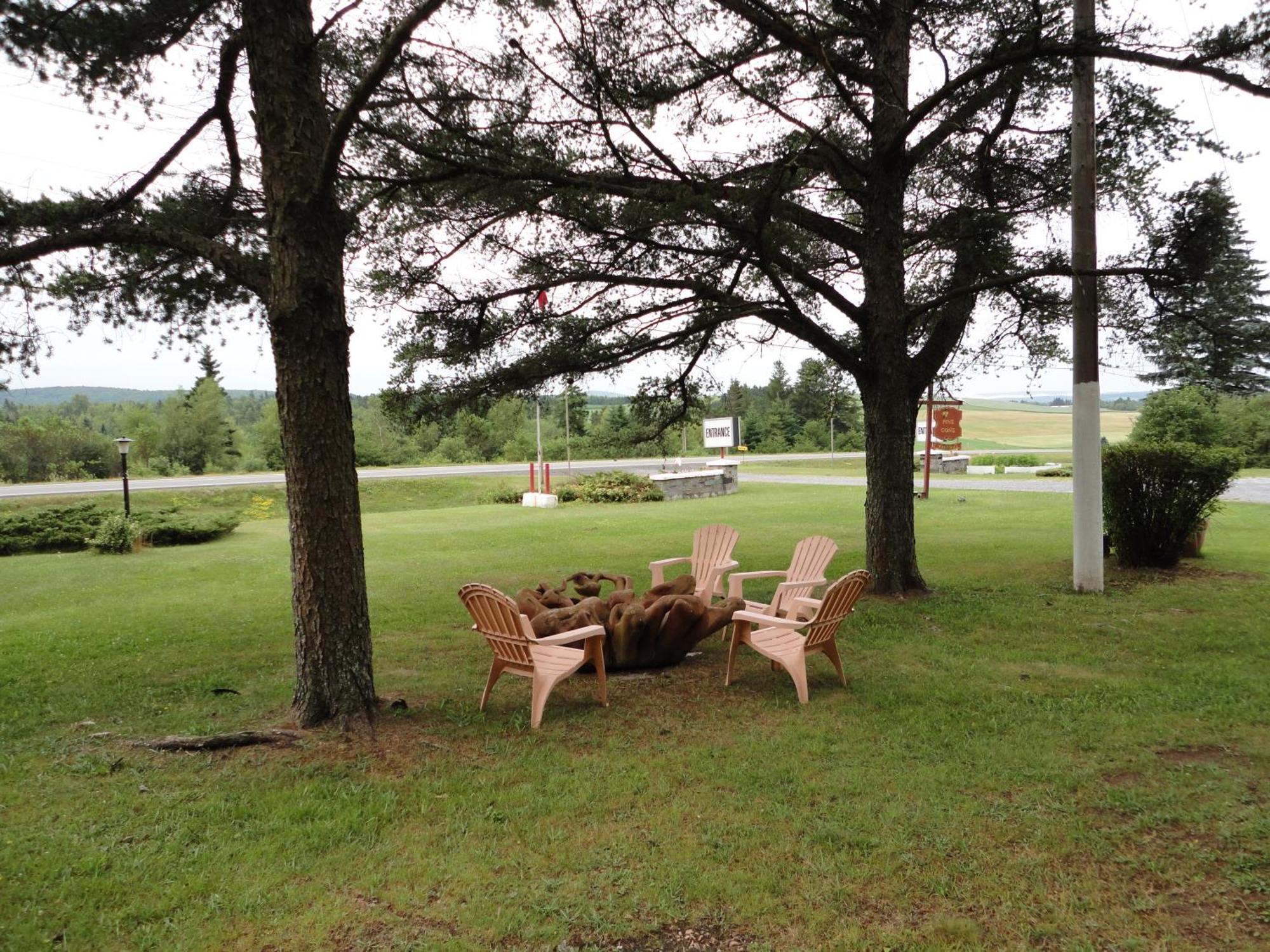 Pinecone Motel サセックス エクステリア 写真