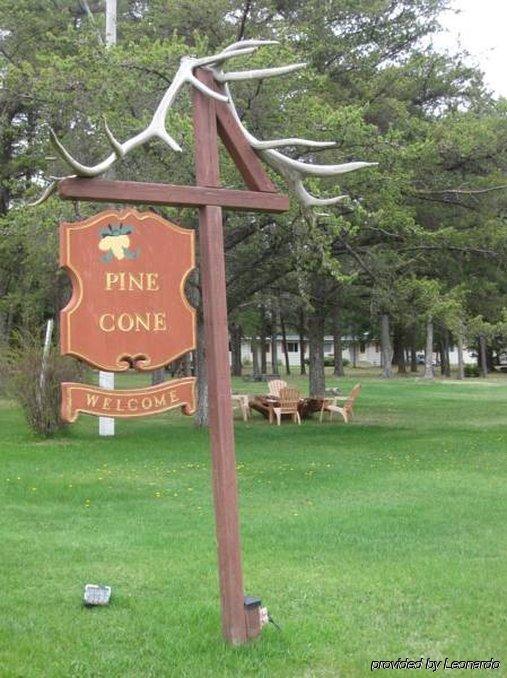 Pinecone Motel サセックス エクステリア 写真