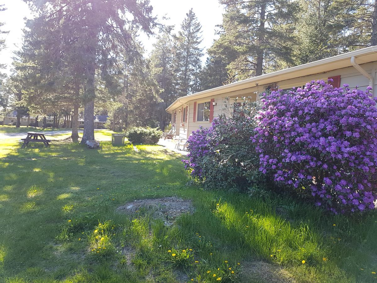 Pinecone Motel サセックス エクステリア 写真