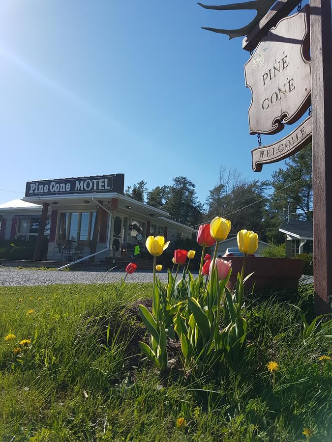 Pinecone Motel サセックス エクステリア 写真