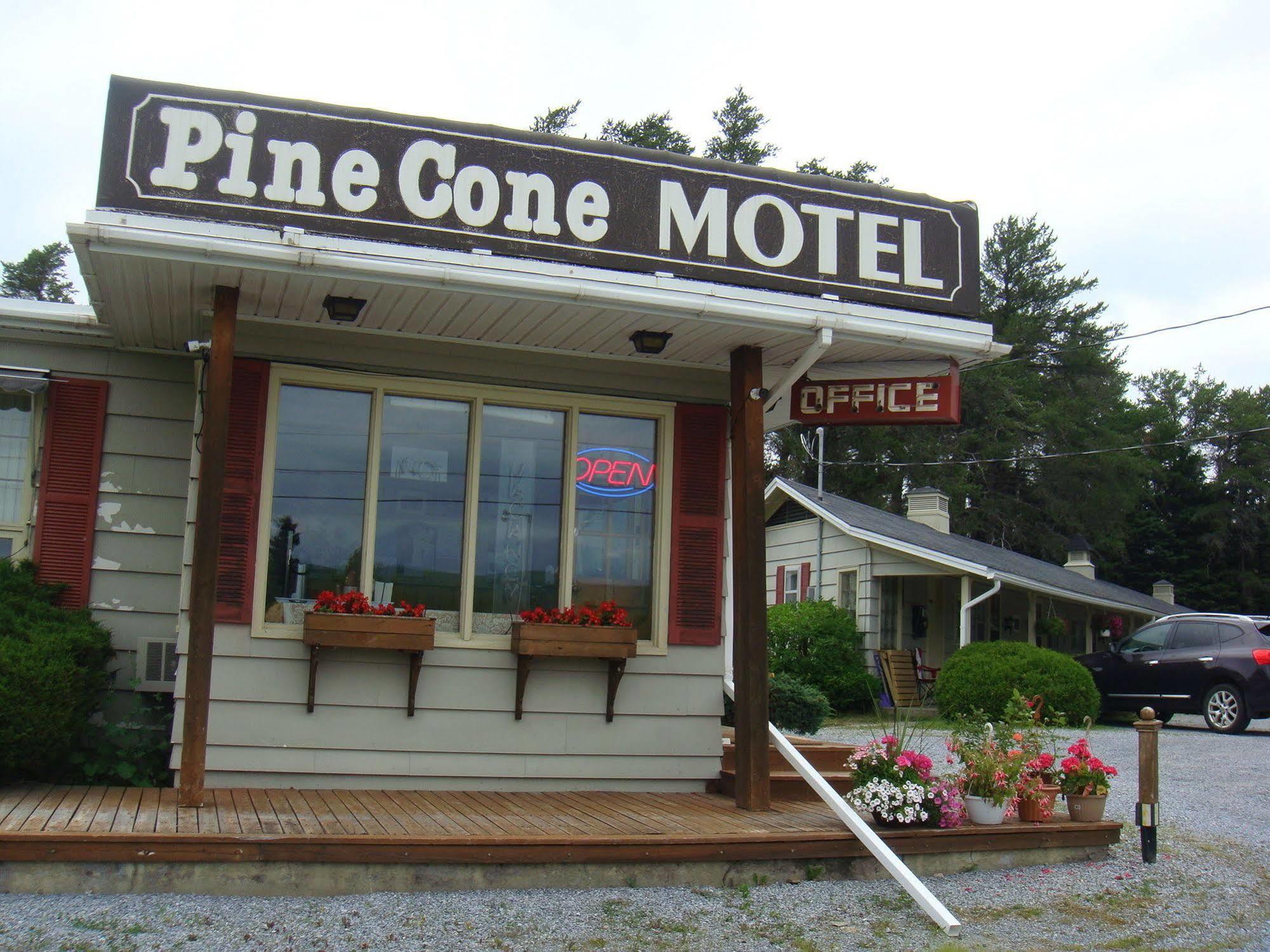 Pinecone Motel サセックス エクステリア 写真