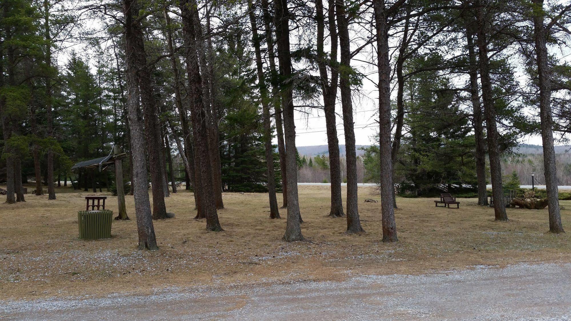Pinecone Motel サセックス エクステリア 写真