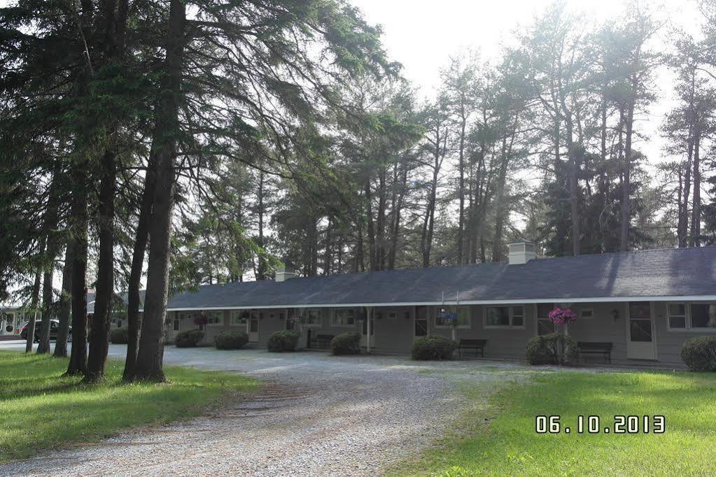 Pinecone Motel サセックス エクステリア 写真