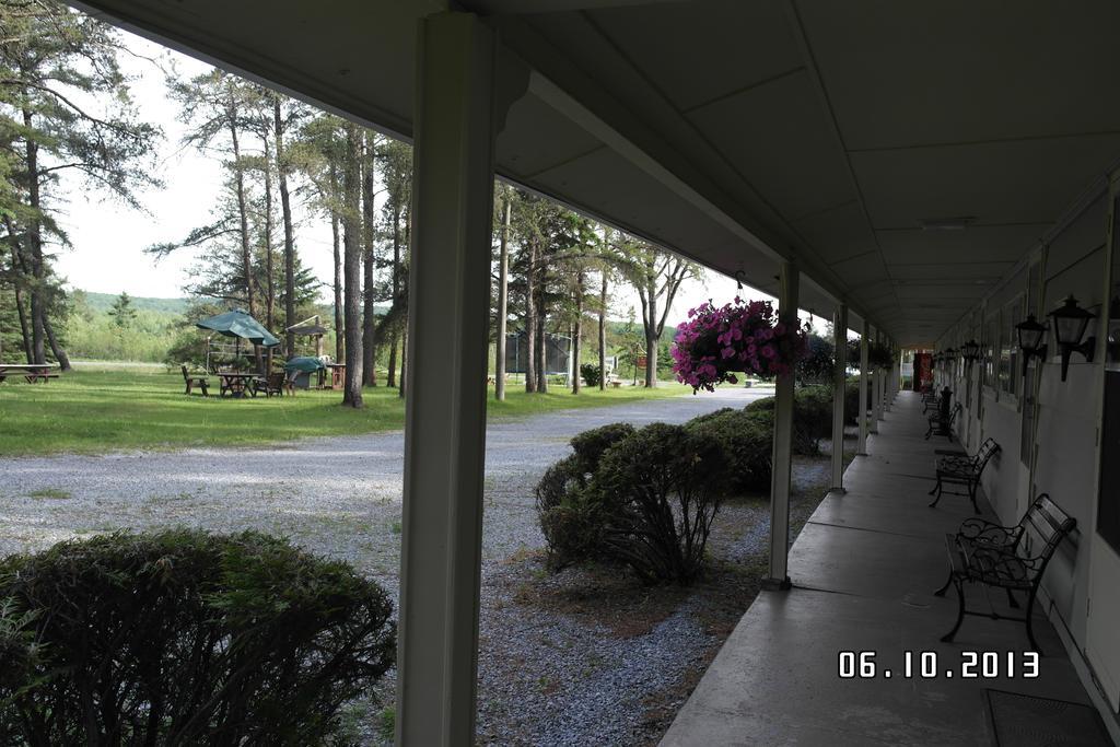Pinecone Motel サセックス エクステリア 写真