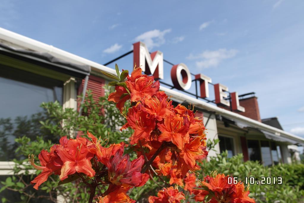 Pinecone Motel サセックス エクステリア 写真